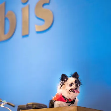 Ibis Centre Comedie