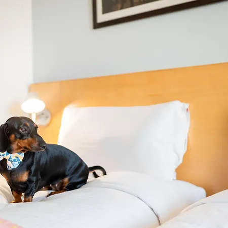 Ibis Centre Comedie 3*